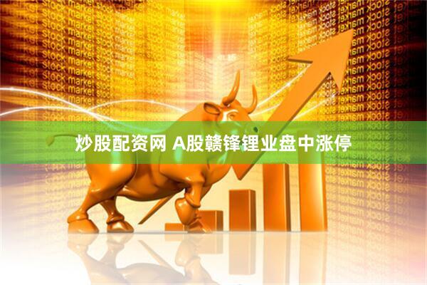 炒股配资网 A股赣锋锂业盘中涨停