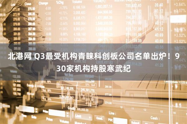 北港网 Q3最受机构青睐科创板公司名单出炉！930家机构持股寒武纪