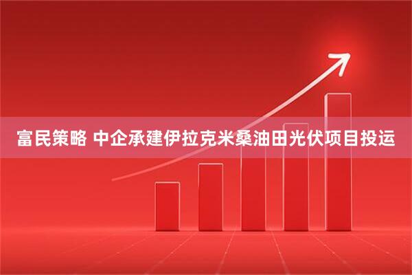 富民策略 中企承建伊拉克米桑油田光伏项目投运